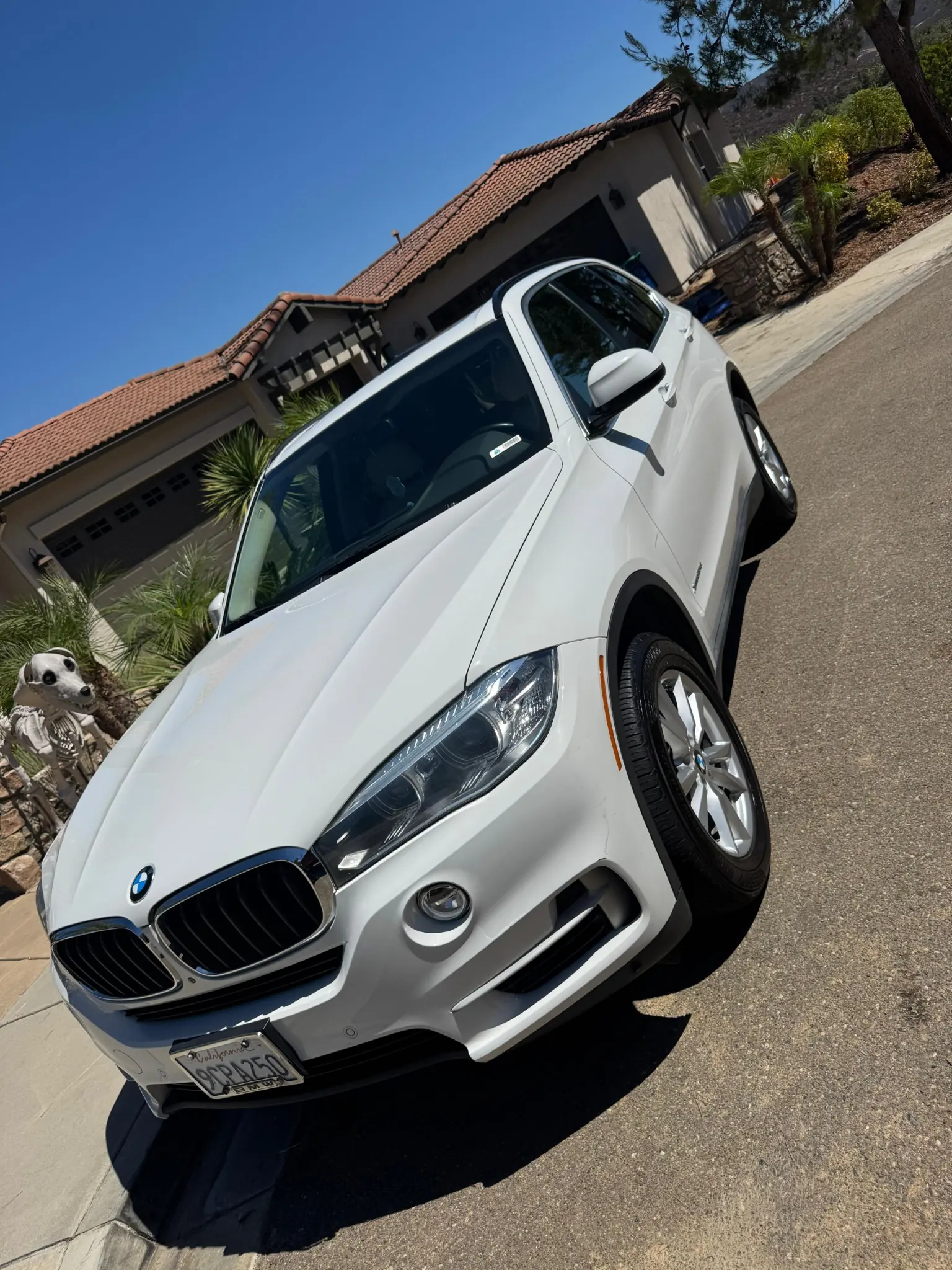 Exterior detailing result
