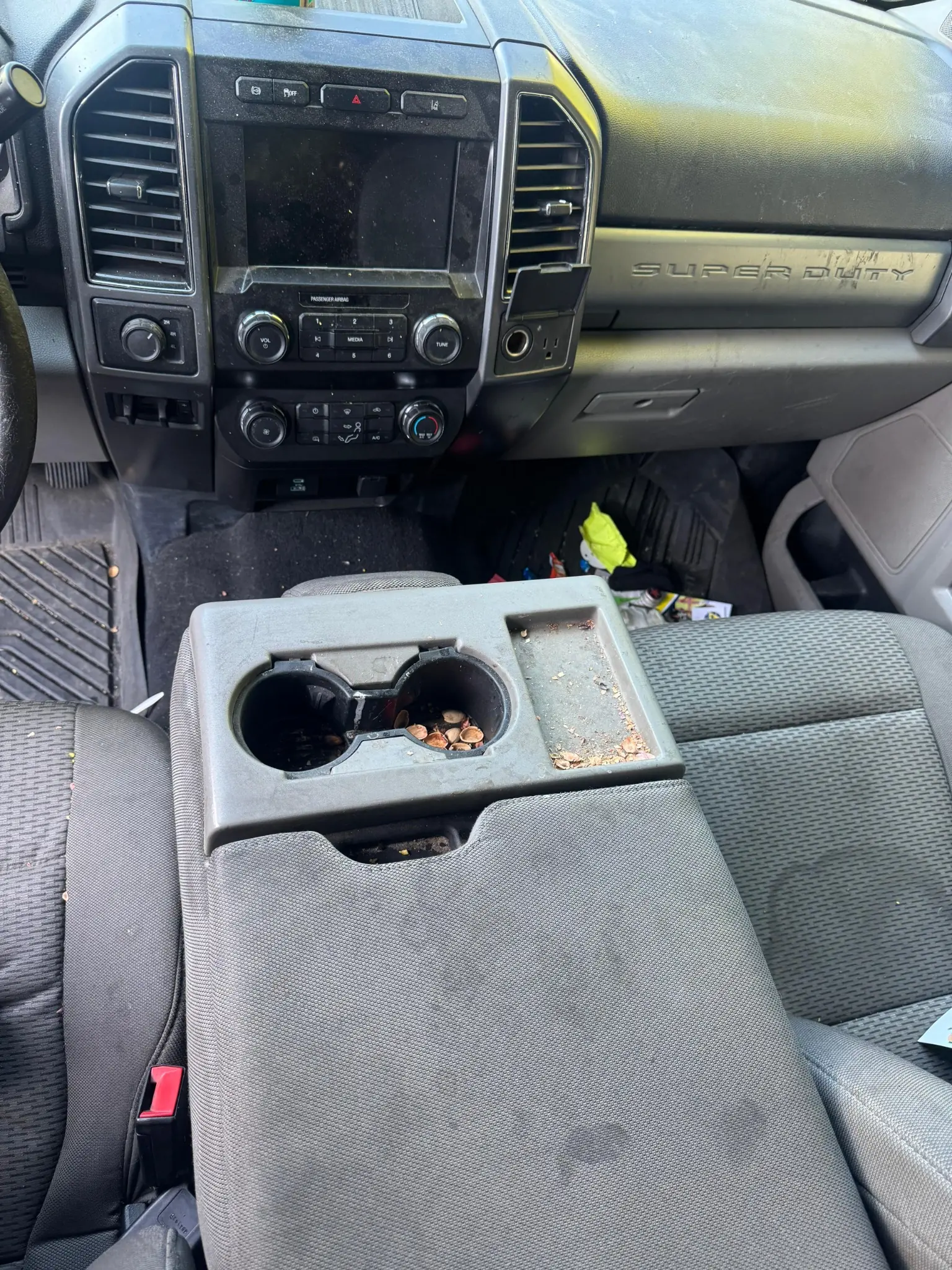Interior detailing result