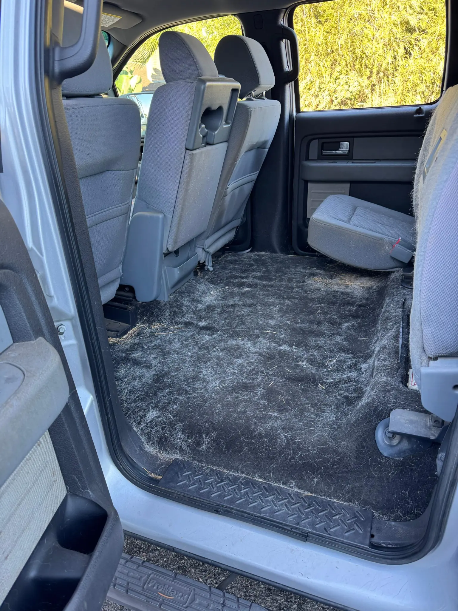 Interior detailing result