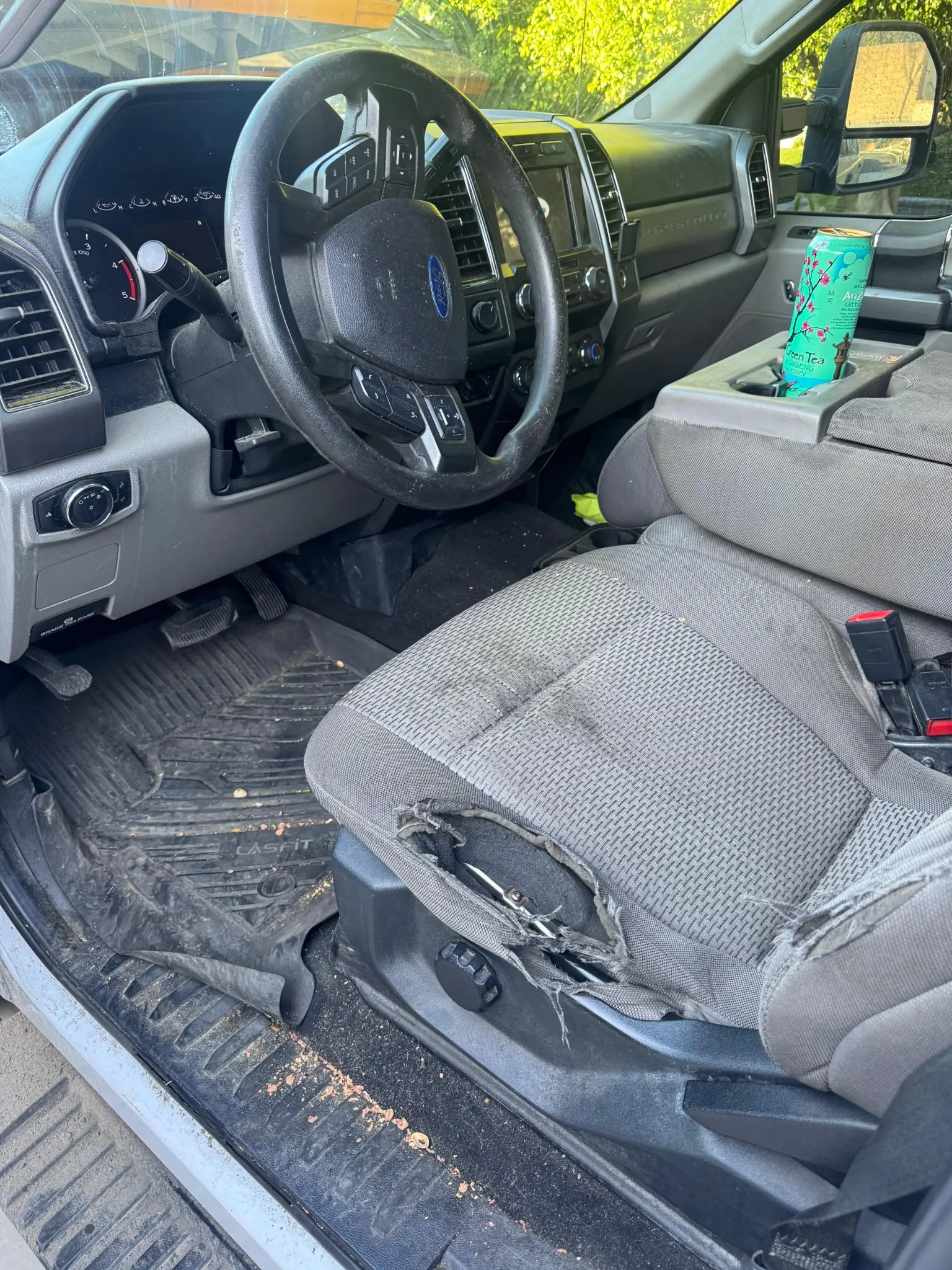 Interior detailing result